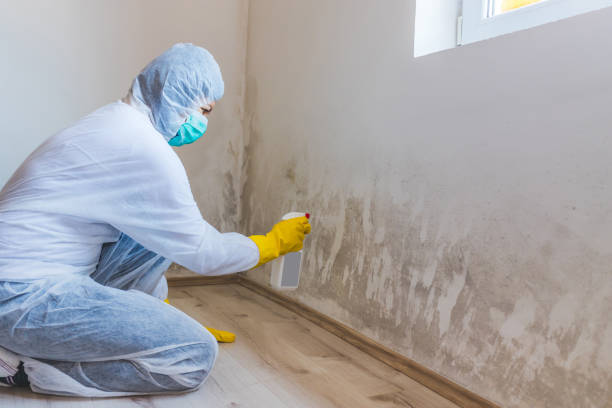 Hvac And Air Duct Mold Remediation inspection of HVAC system in Cumberland